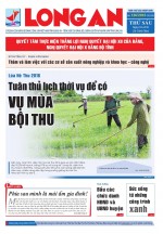 Báo ngày 24/06/2016