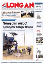 Báo ngày 19/02/2019