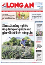 Báo ngày 04/8/2020