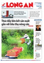 Báo ngày 13/7/2021