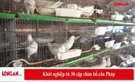 Khởi nghiệp từ 30 cặp chim bồ câu Pháp