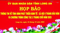 Long An có 1.215 dự án FDI, vốn 10.519 triệu USD