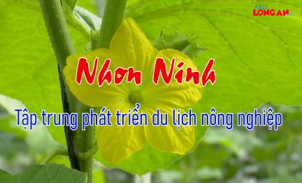 Nhơn Ninh - Tập trung phát triển du lịch nông nghiệp