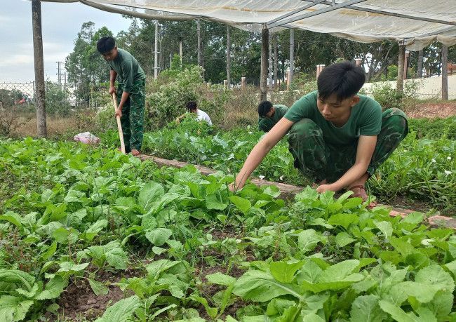 Cán bộ, chiến sĩ Đồn Biên phòng Long Khốt tăng gia sản xuất  đưa vào bữa ăn những ngày tết