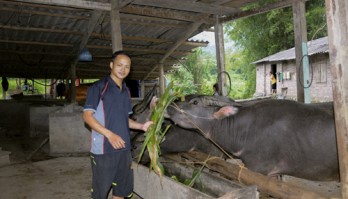 Người thanh niên dân tộc Nùng dám nghĩ, dám làm