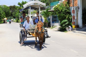 Xe ngựa cuối năm