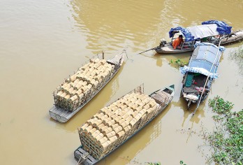 Con đem giấu mùa xuân