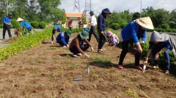 Phát huy vai trò xung kích của đoàn viên, thanh niên