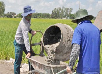 Sinh viên  Đại học Cần Thơ làm đường giao thông nông thôn ở Long An