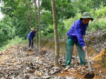 Việt Nam-Campuchia đánh giá hiệu quả hợp tác sản xuất cao su