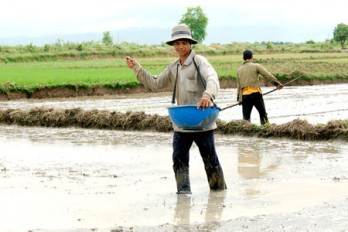 Mùa gieo hạt