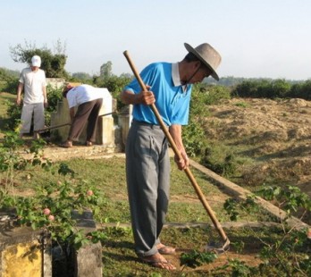 Tảo mộ cuối năm