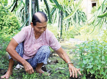 Ước mong của mẹ