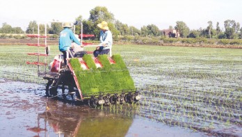 Đưa công nghệ cao vào sản xuất nông nghiệp