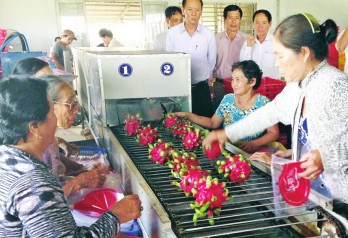 Đẩy mạnh ứng dụng khoa học và công nghệ phục vụ sản xuất và đời sống