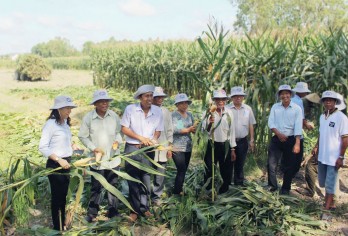 Long An: Phát triển, ứng dụng tiến bộ khoa học - công nghệ của cách mạng công nghiệp lần thứ 4