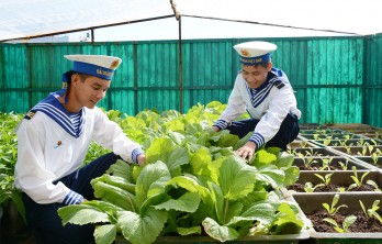 Những kỹ sư áo yếm của đảo Phan Vinh