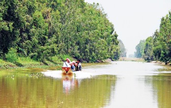 Đất và người Long An qua từng ca khúc