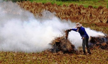 JICA hỗ trợ đánh giá về công nghệ cácbon thấp tại Việt Nam