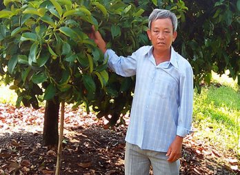 Effectiveness of VietGAP standard in agricultural production