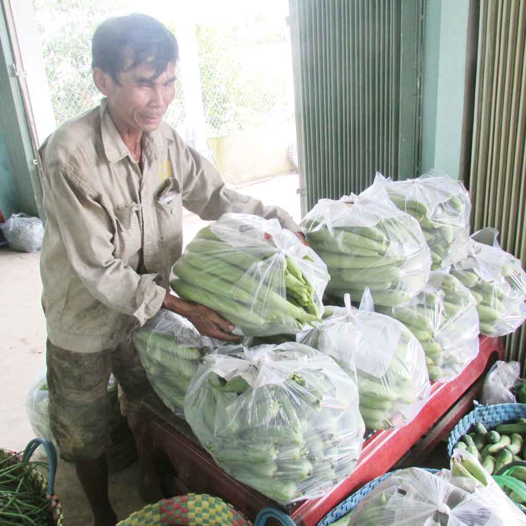 Cooperatives play a pivotal role in developing farmer household business