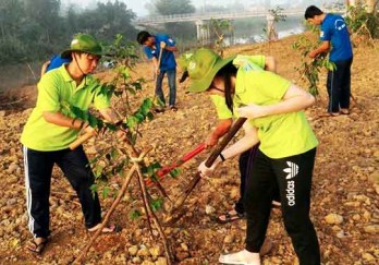 Đa dạng các phong trào