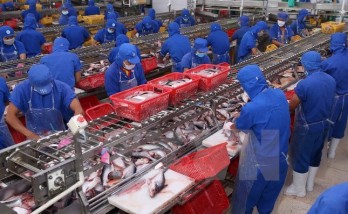 Aquatic export expected to hit 9 billion USD in 2018