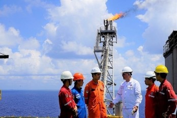 Deputy PM vows to facilitate Vietnam-Russia oil-gas cooperation