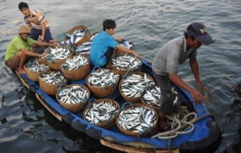 Cooperation in East Sea fisheries management, environmental protection