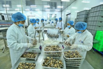 Numerous challenges facing Vietnam’s exports in 2018