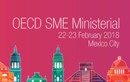 Vietnam attends OECD ministerial conference on SMEs in Mexico