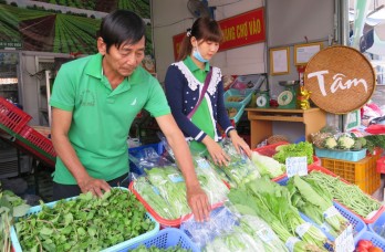 Long An: 12 more hi-tech vegetable production models to be implemented by year-end