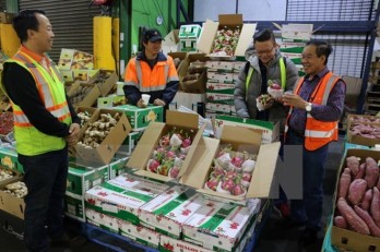 Vietnam’s fruit, vegetable exports up 33.4 percent in Q1