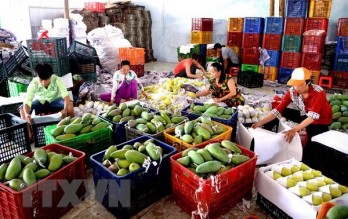 Vietnam imports 451 million USD worth of fruit, vegetable in 4 months