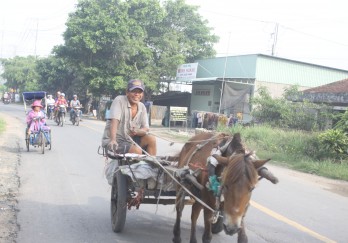 Những chuyến xe thổ mộ