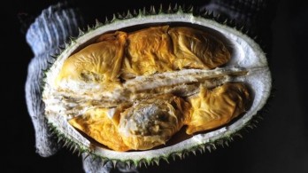 Thailand to send durian into orbit