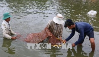 Seminar talks development of shrimp farming