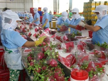 Ministry optimistic about fruit-veggie export prospects