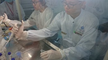 First off-the-shelf stem cell therapy developed in Vietnam