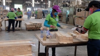 Opportunities for Vietnam to boost timber exports to Australia