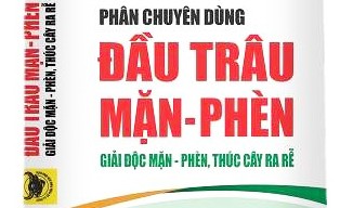 Phân bón Đầu Trâu khắc phục yếu tố bất lợi trong canh tác lúa