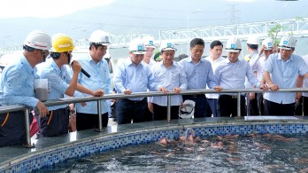 PM inspects environment at Formosa Ha Tinh steel company