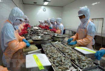 Experts: Vietnam must work hard to meet export targets