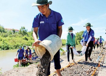 Sức trẻ tình nguyện