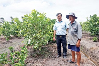 Bình Hòa Nam - Vùng đất chết đã hồi sinh