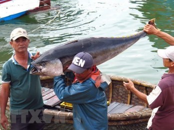 Vietnam works hard to have “yellow card” warning removed