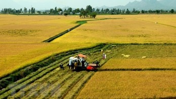 Enhancing added value for Vietnamese agricultural products