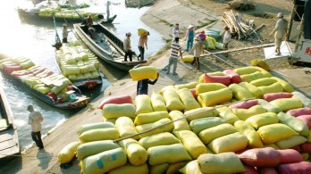 New decree removes tough conditions for rice exports