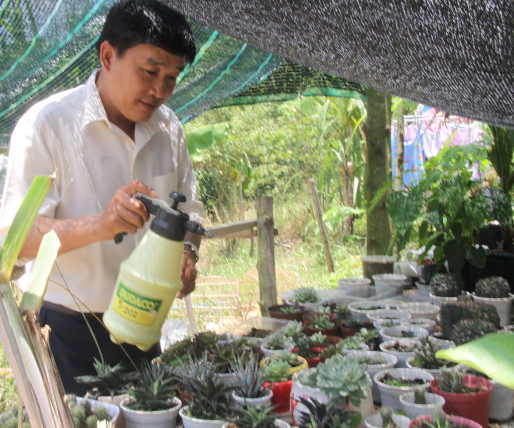 Các thầy giáo ở nhà công vụ xã Thủy Đông còn trổ tài trồng cây kiểng