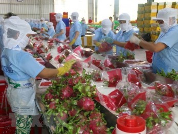 Fruit, vegetable exports valued at 3.3 billion USD